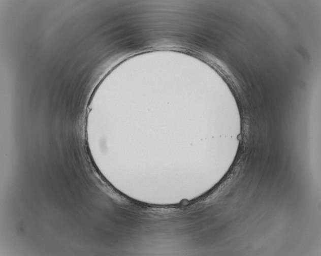 X0000111951236200909071313
