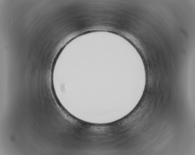 X0000111951237200909071313