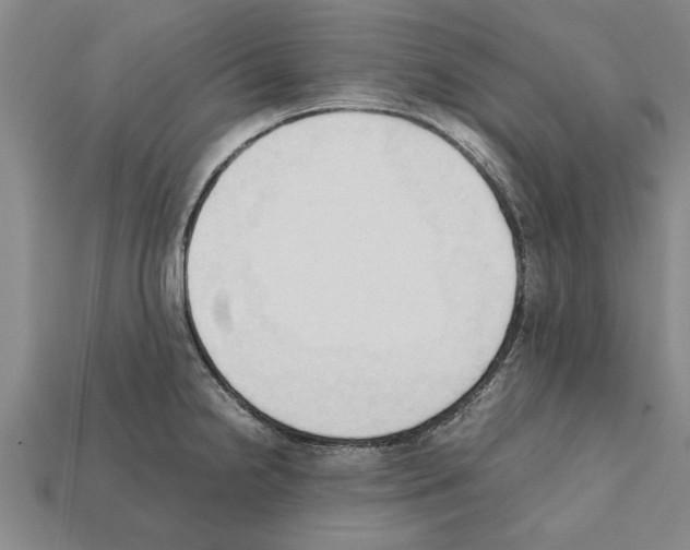 X0000111951238200909071313