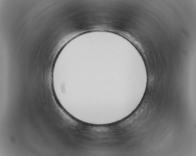 X0000111951239200909071313
