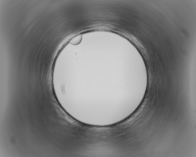 X0000111951240200909071313