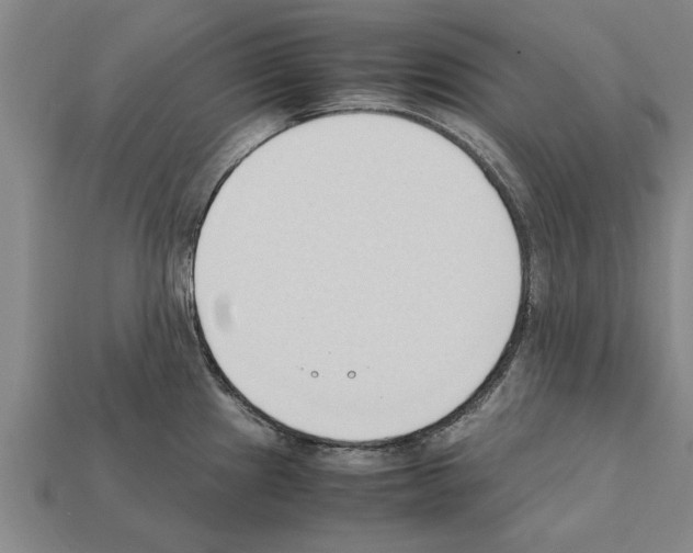 X0000111951241200909071313