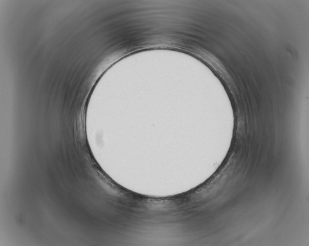 X0000111951242200909071313
