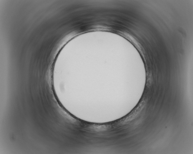 X0000111951243200909071313