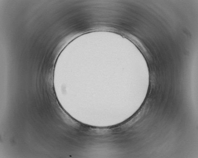 X0000111951244200909071313