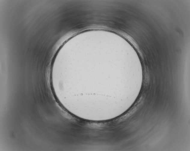 X0000111951245200909071313