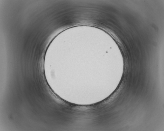 X0000111951246200909071313