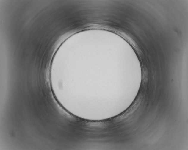 X0000111951247200909071313