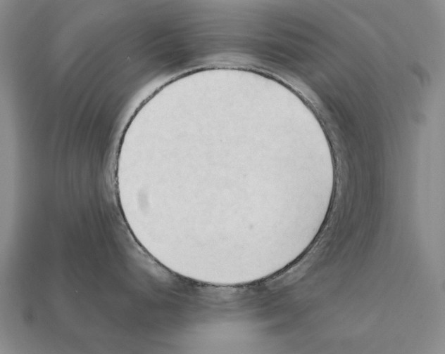 X0000111951248200909071313