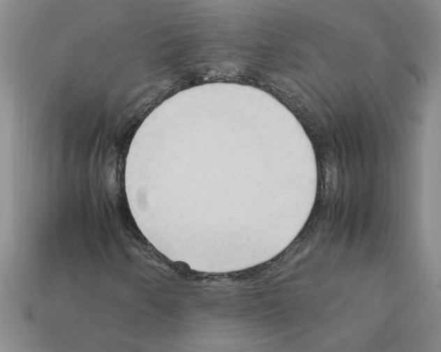 X0000111951250200909071313