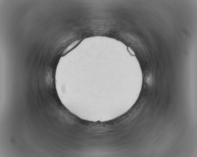 X0000111951252200909071313