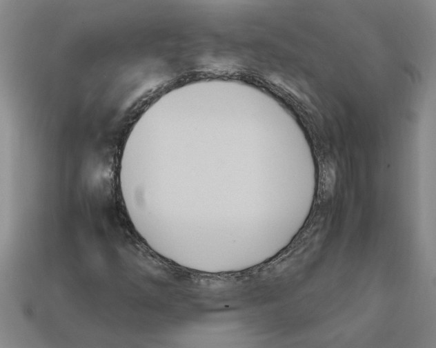 X0000111951254200909071313