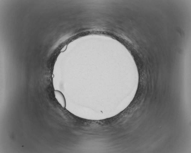 X0000111951255200909071313
