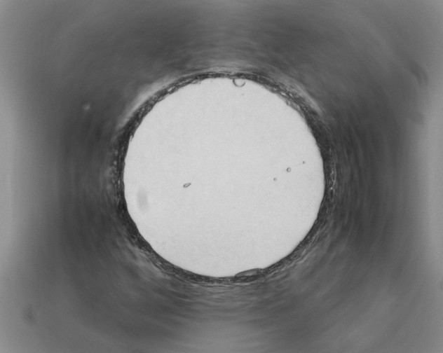 X0000111951256200909071313