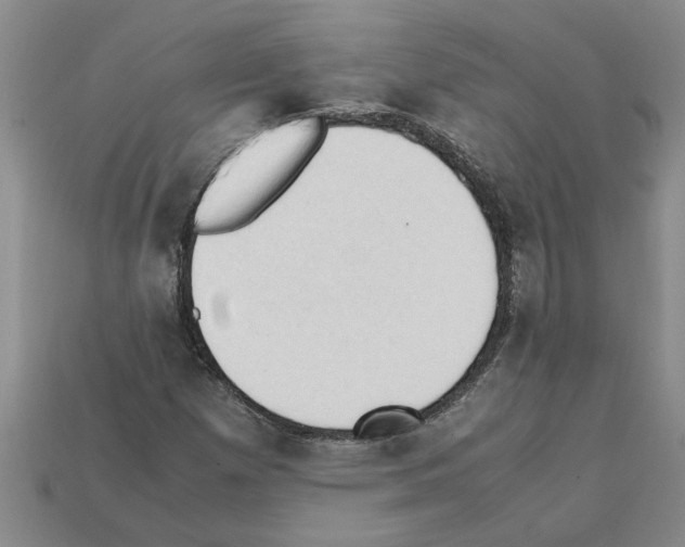 X0000111951257200909071313
