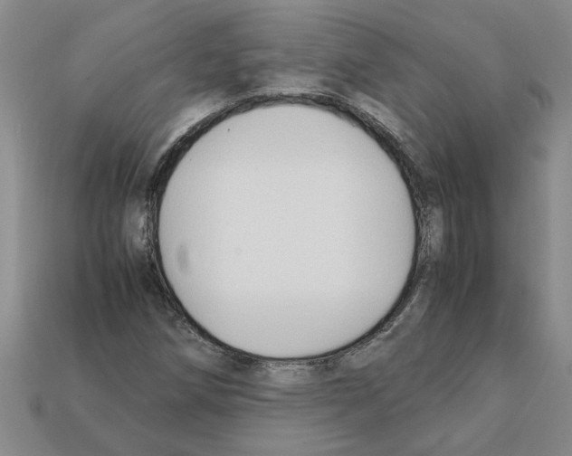 X0000111951258200909071313