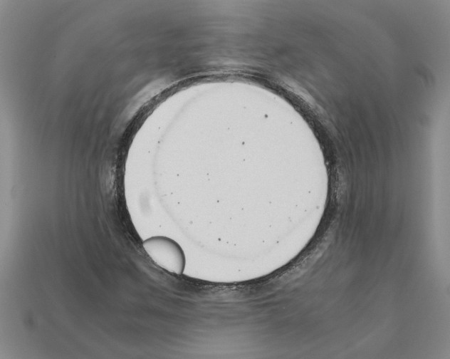 X0000111951259200909071313
