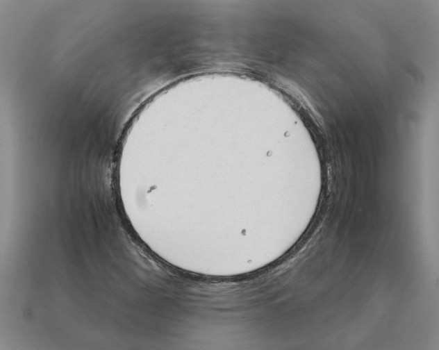 X0000111951260200909071313