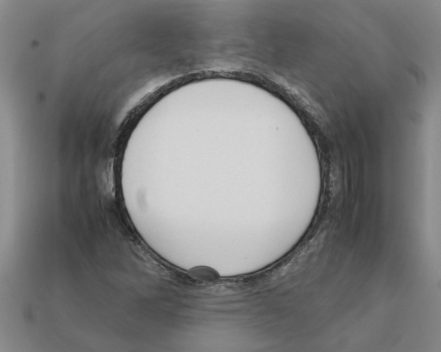 X0000111951262200909071313