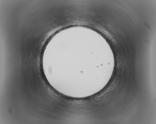 X0000111951264200909071313
