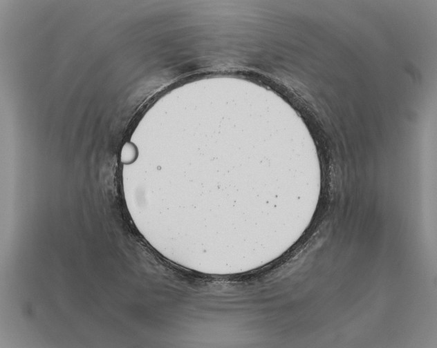 X0000111951265200909071313
