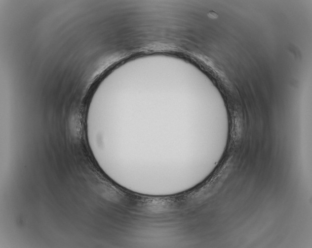 X0000111951266200909071313