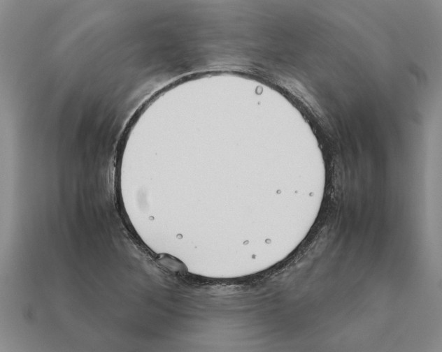 X0000111951268200909071313