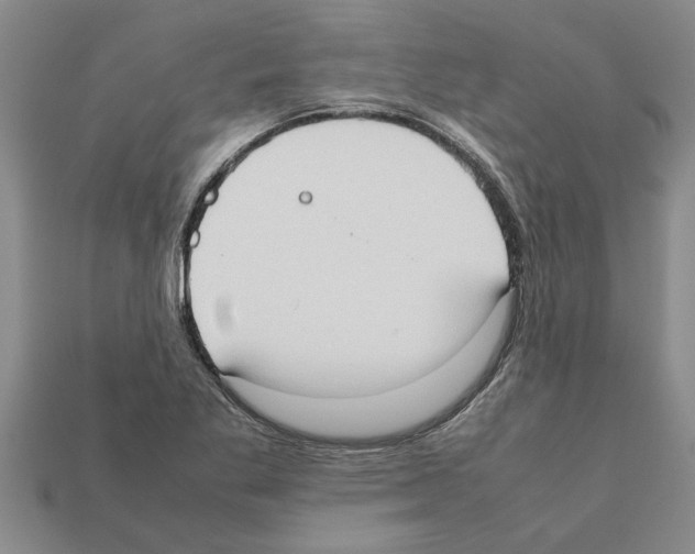 X0000111951269200909071313
