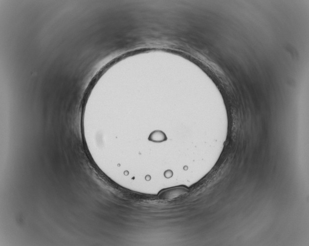 X0000111951272200909071313