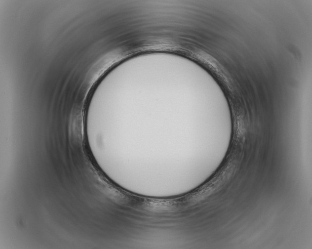 X0000111951274200909071312