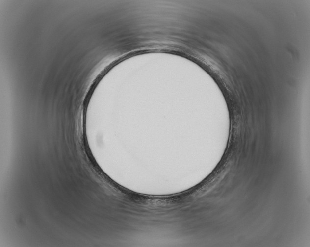 X0000111951275200909071312