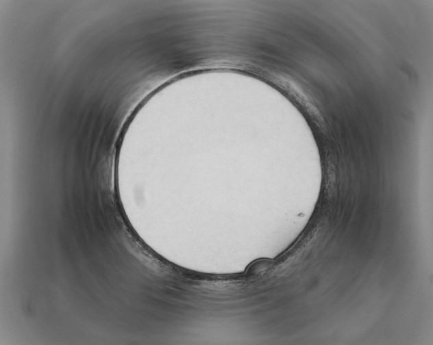 X0000111951276200909071312
