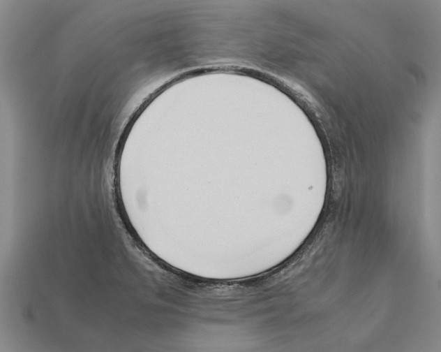X0000111951279200909071312