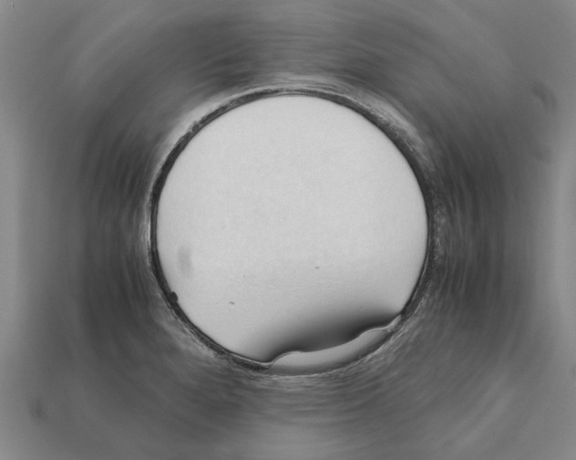 X0000111951280200909071312