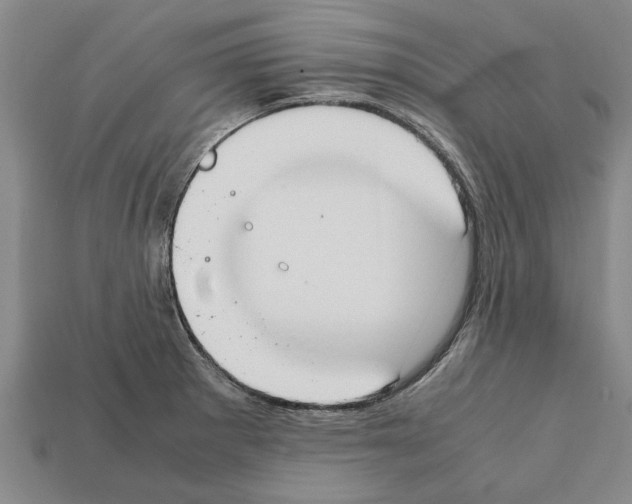 X0000111951281200909071312