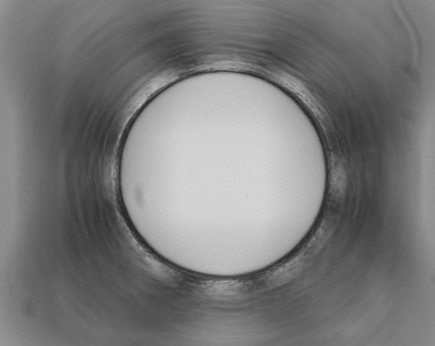 X0000111951282200909071312