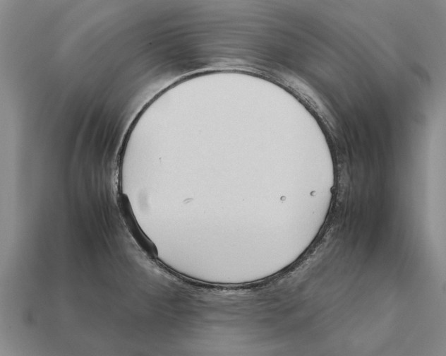 X0000111951284200909071312