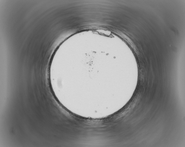 X0000111951285200909071312