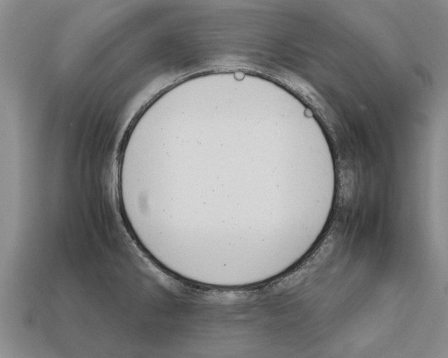 X0000111951286200909071312
