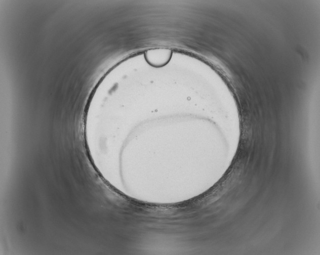 X0000111951287200909071312