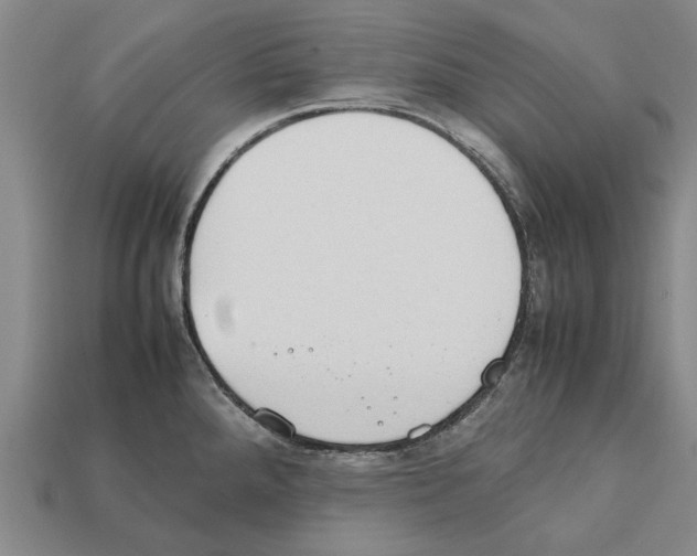 X0000111951288200909071312