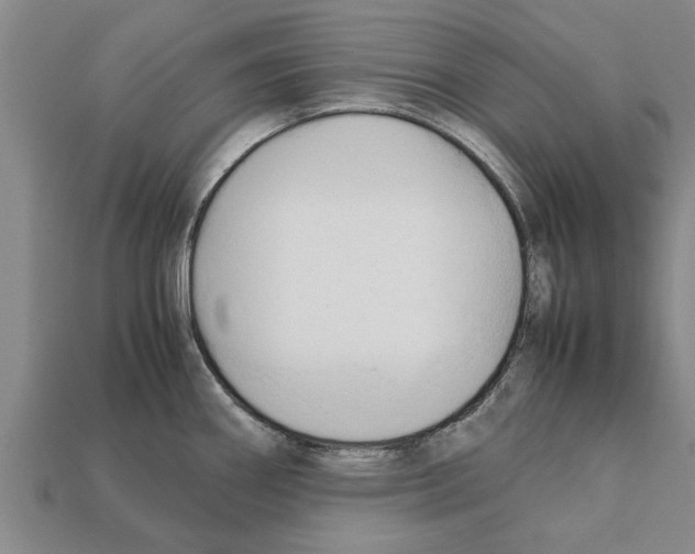 X0000111951290200909071312