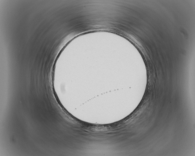 X0000111951291200909071312