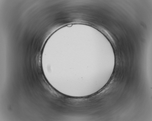 X0000111951292200909071312