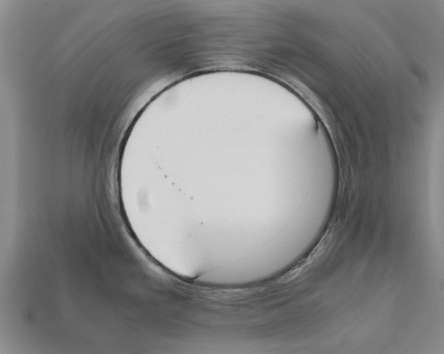 X0000111951293200909071312