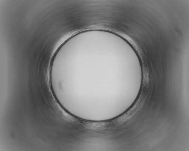 X0000111951294200909071312