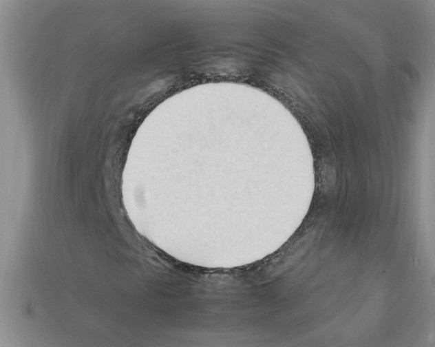 X0000111951297200909071312