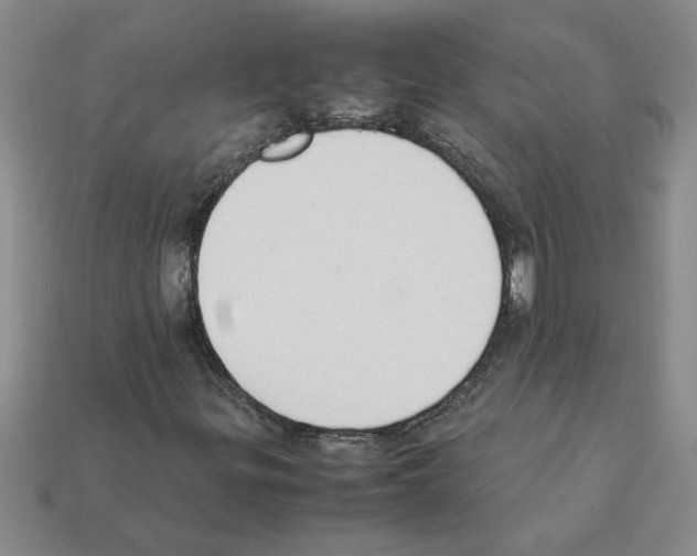 X0000111951299200909071312