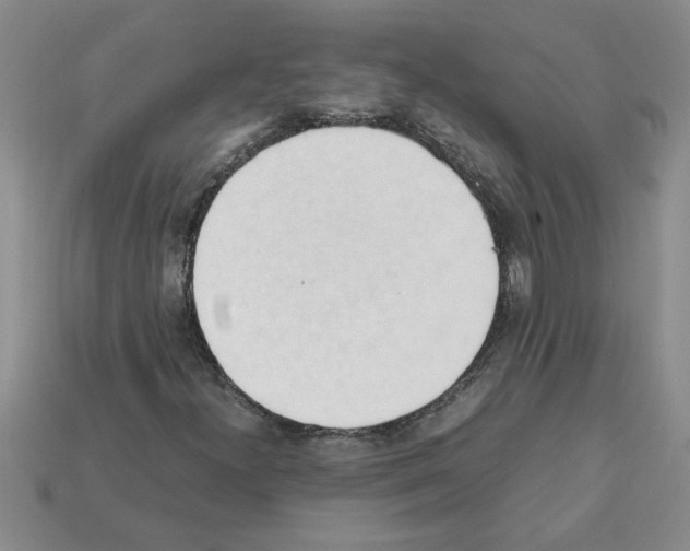 X0000111951300200909071312