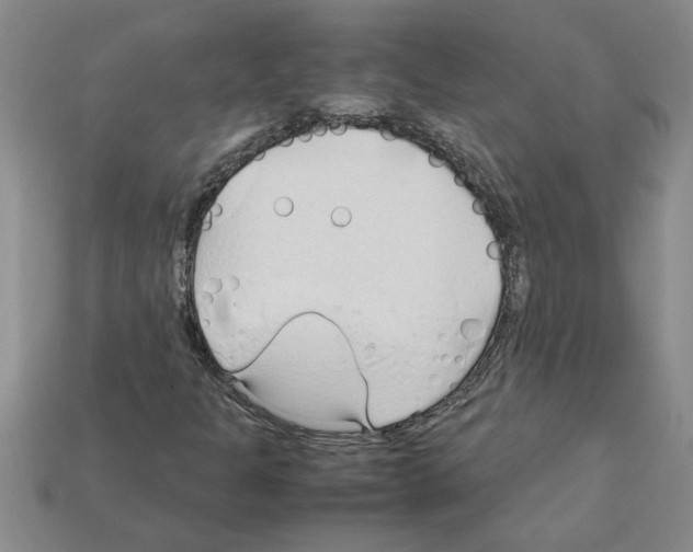 X0000111951301200909071312